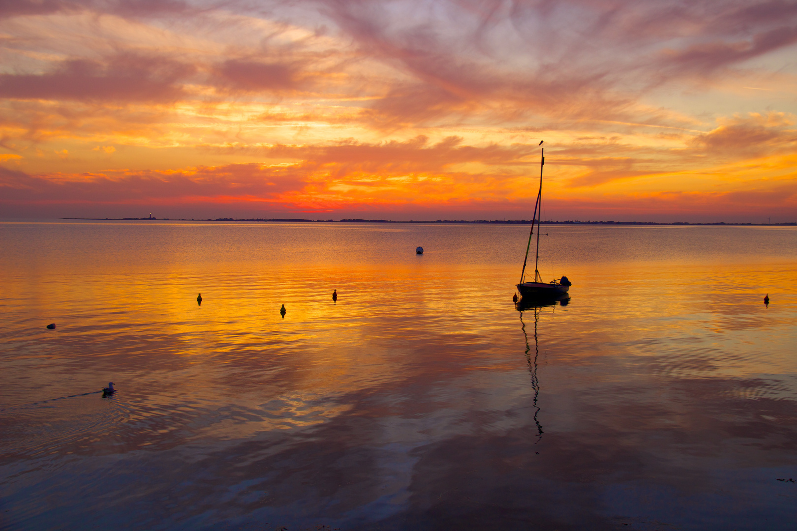 Sonnenuntergang auf Fehmarn