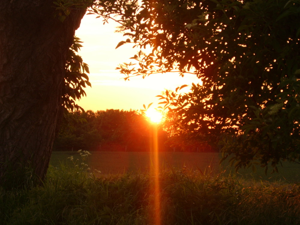 Sonnenuntergang auf Fehmarn