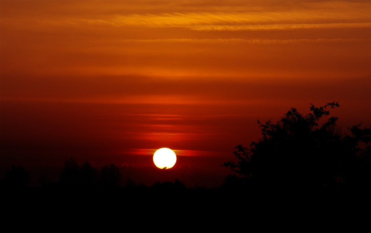 Sonnenuntergang auf Fehmarn