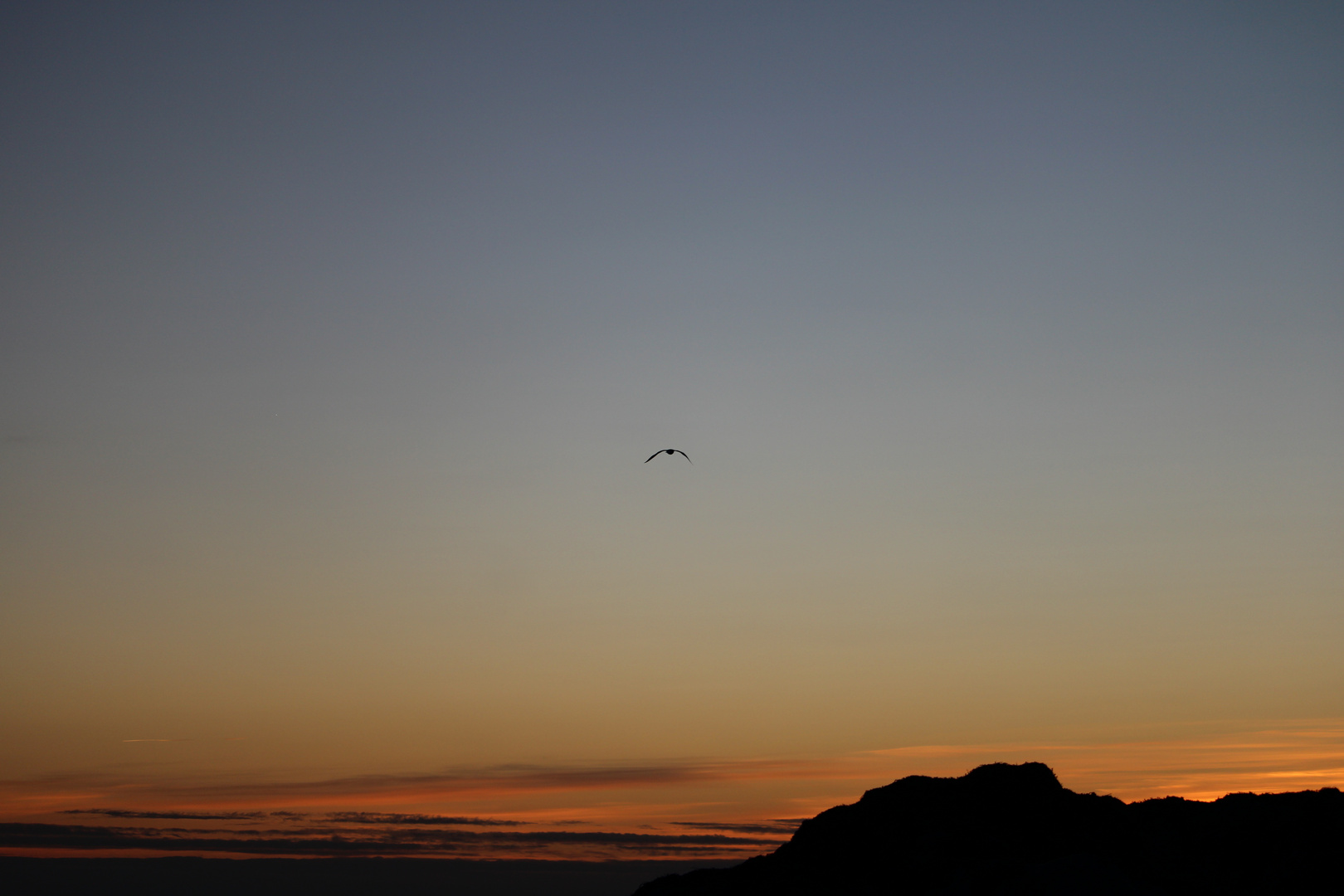 Sonnenuntergang auf Fehrman mit Möwe