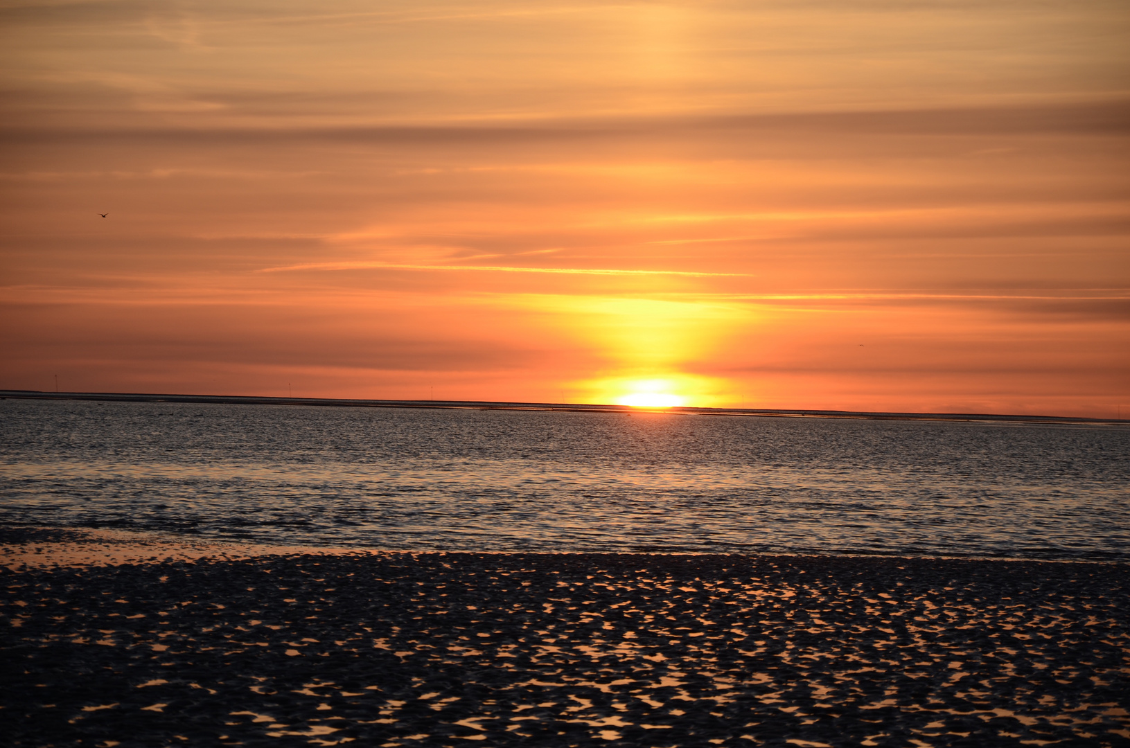 Sonnenuntergang auf Föhr 2015