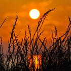 Sonnenuntergang auf Föhr