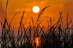 Sonnenuntergang auf Föhr