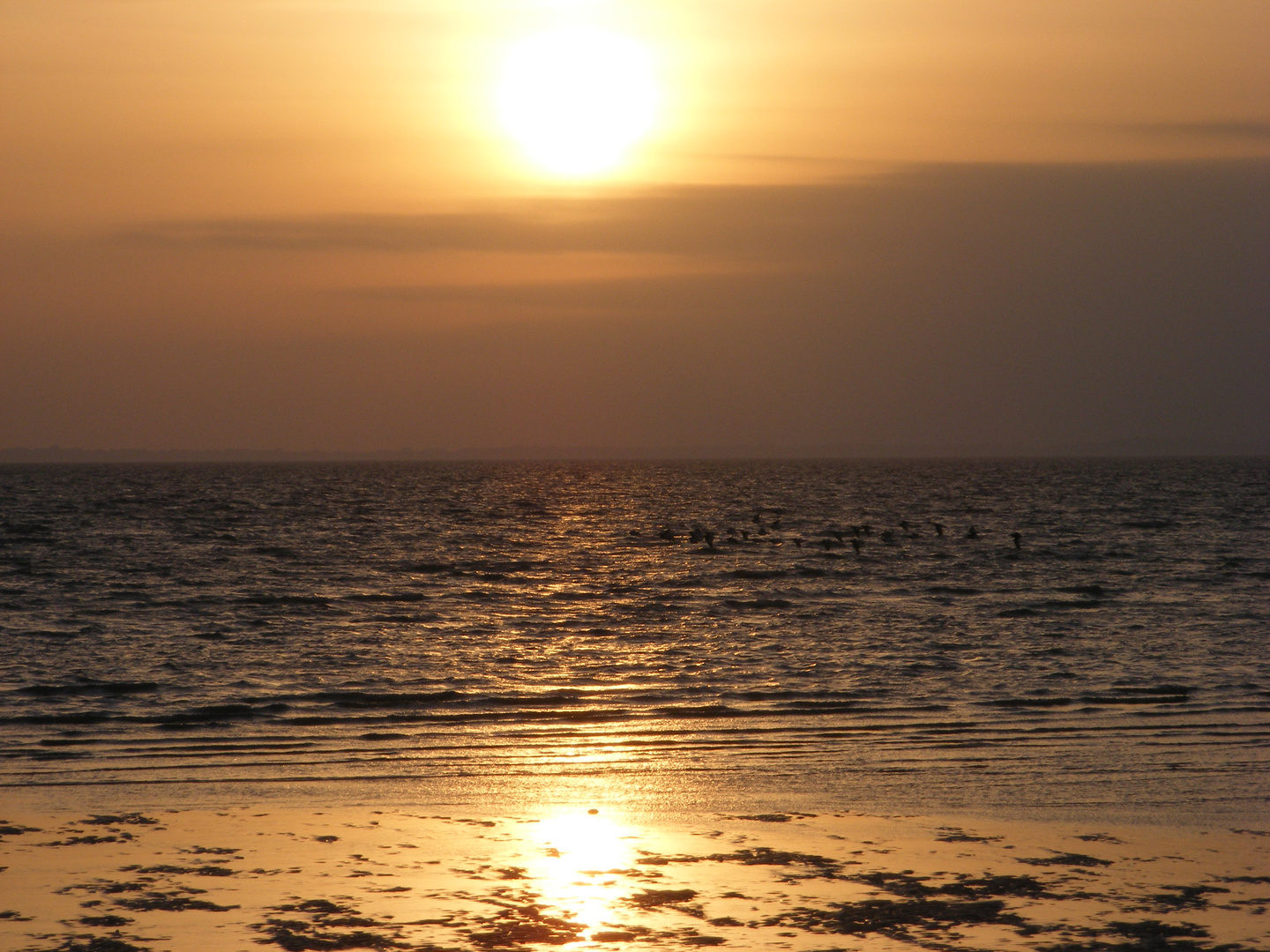 Sonnenuntergang auf Föhr