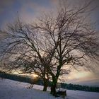 Sonnenuntergang auf Goslars Bergwiesen