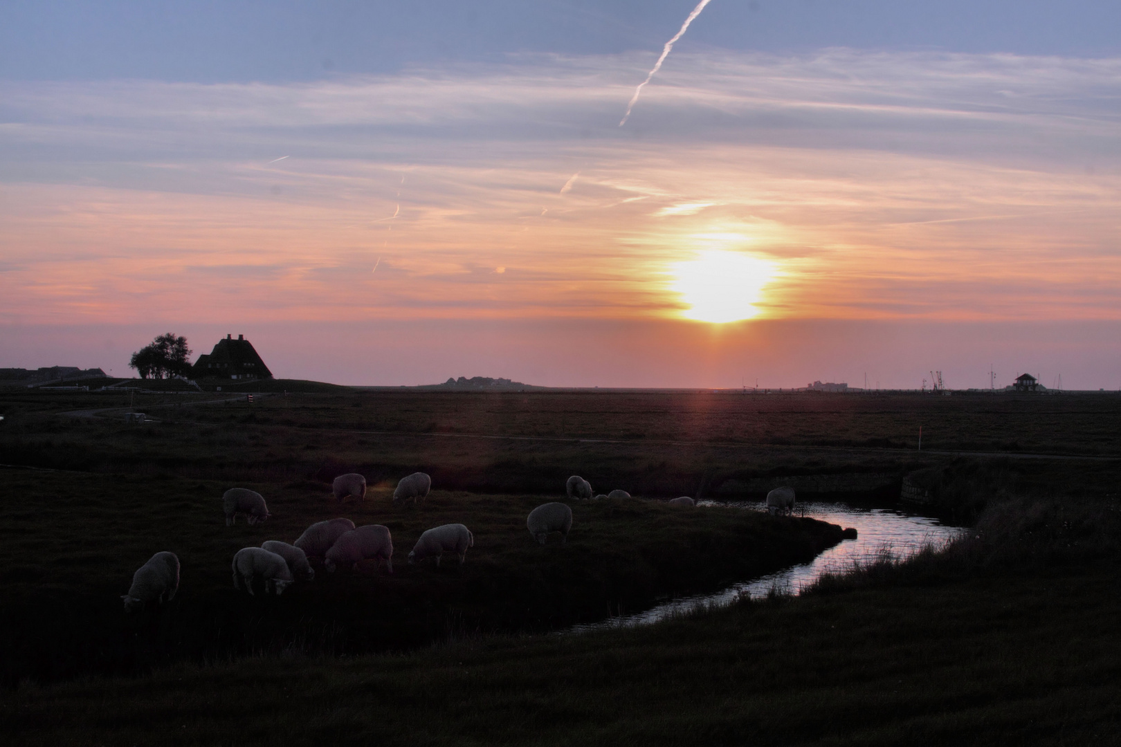 Sonnenuntergang auf Hallig Hooge ...