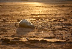 Sonnenuntergang auf Helgoland