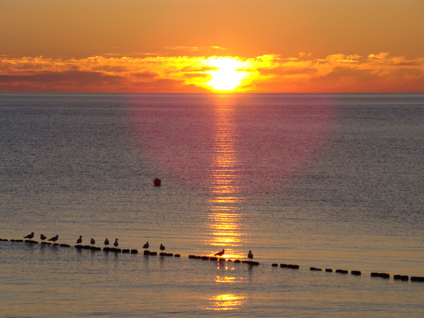 Sonnenuntergang auf Hiddensee