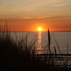 Sonnenuntergang auf Hiddensee