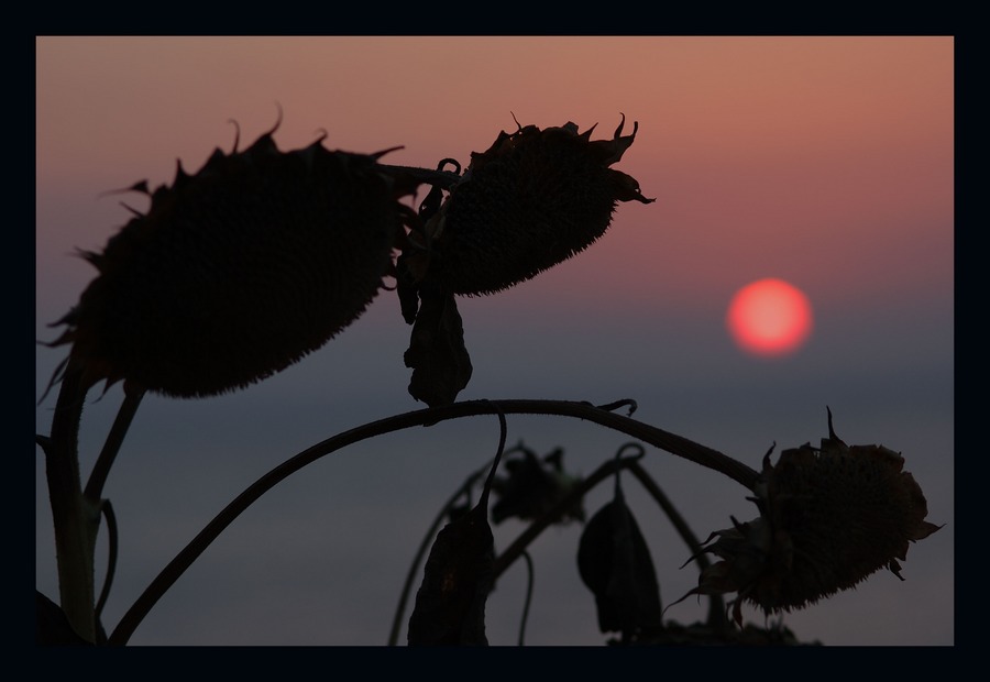 Sonnenuntergang auf Ikaria