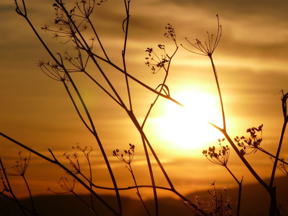 Sonnenuntergang auf Italienisch von pbphotography 