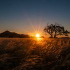 Sonnenuntergang auf Kanaan