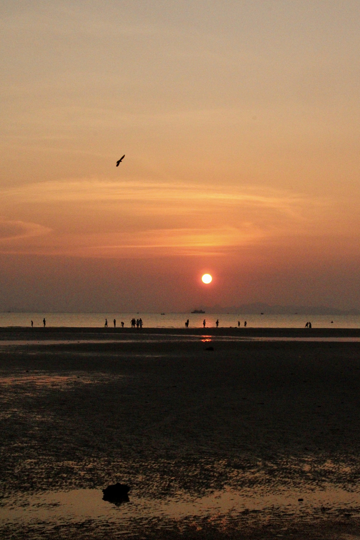 Sonnenuntergang auf Ko Samui / Thailand 