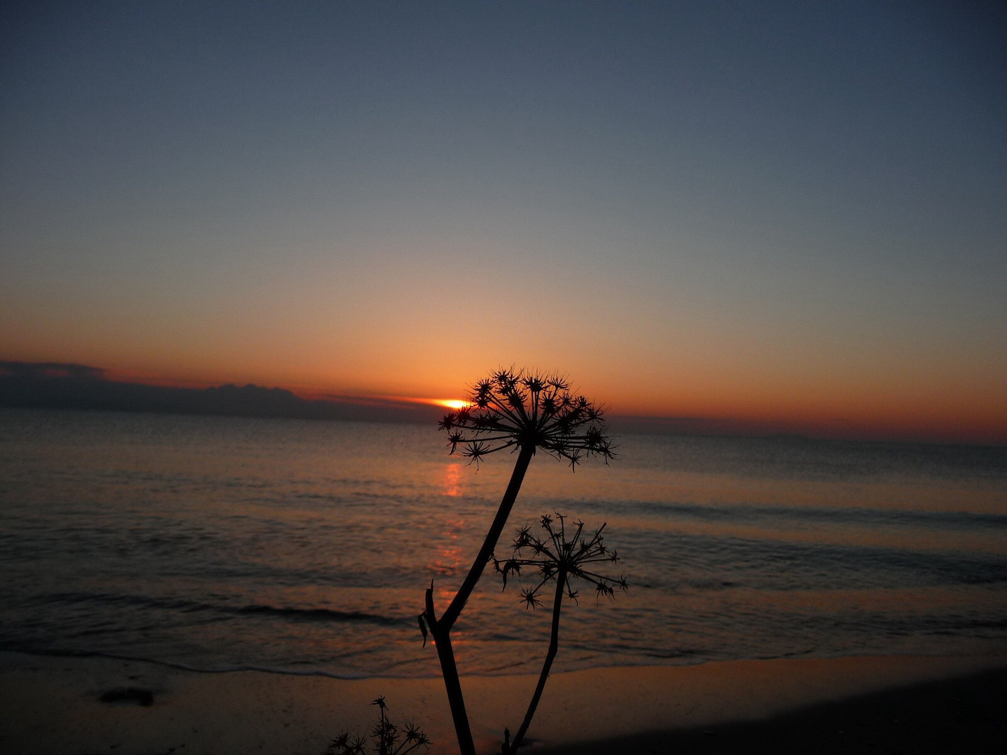 Sonnenuntergang auf Korsika