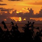 Sonnenuntergang auf La Gomera