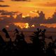 Sonnenuntergang auf La Gomera