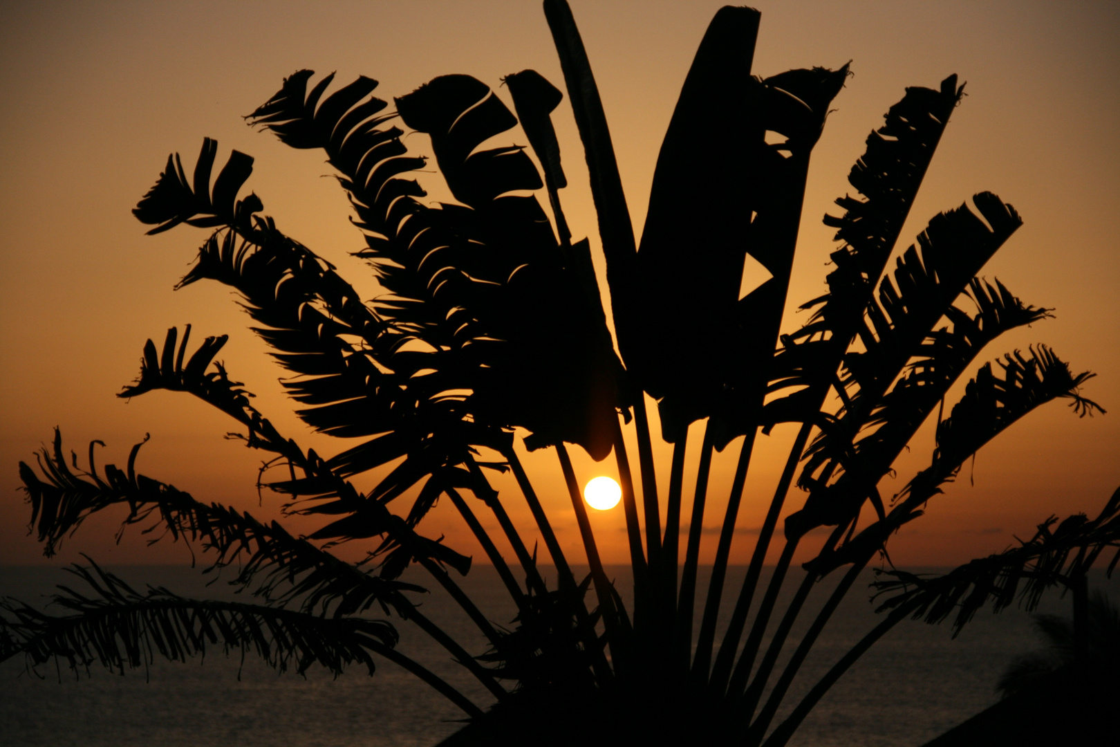 Sonnenuntergang auf La Palma.