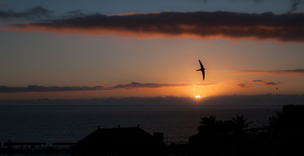 Sonnenuntergang auf La Palma