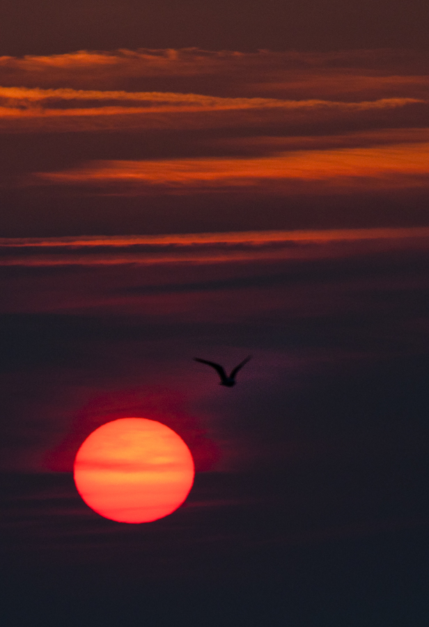 Sonnenuntergang auf Langeoog