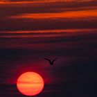 Sonnenuntergang auf Langeoog