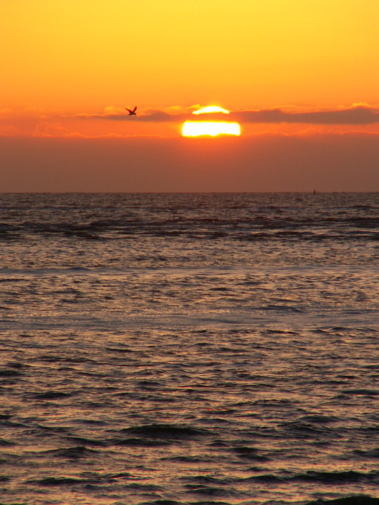 Sonnenuntergang auf Langeoog