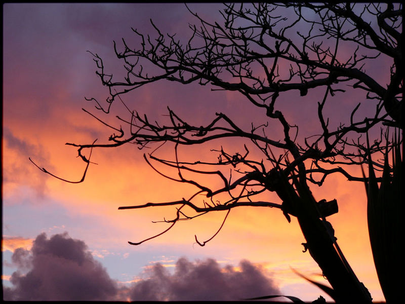 Sonnenuntergang auf Ìle aux Aigrettes