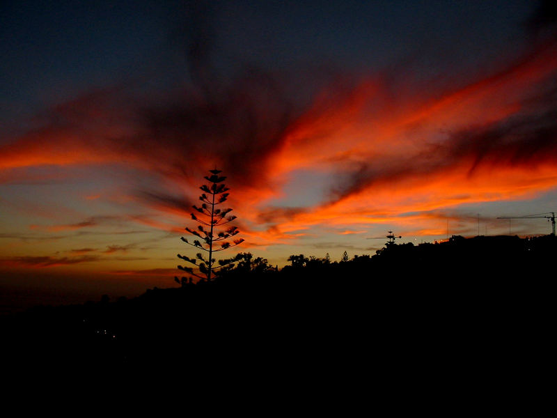 Sonnenuntergang auf Madeira