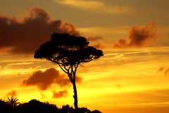 Sonnenuntergang auf Mallorca