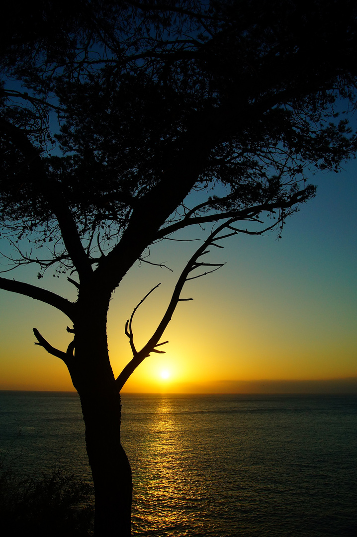 Sonnenuntergang auf Mallorca