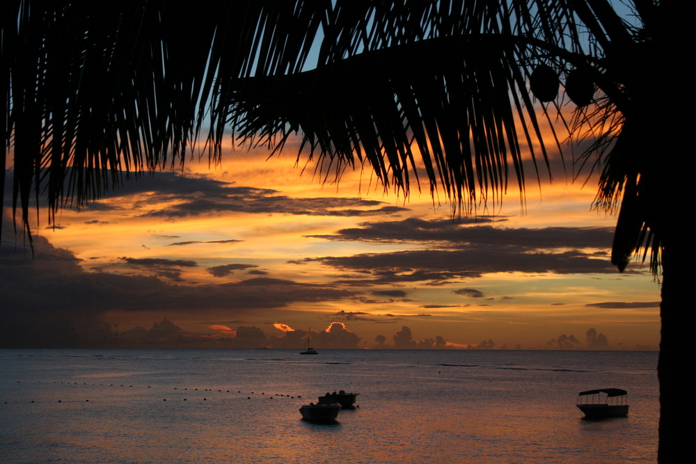 Sonnenuntergang auf Mauritius