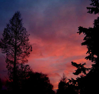 Sonnenuntergang auf meiner Straße