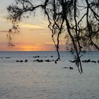 Sonnenuntergang auf Moorea, Tahiti