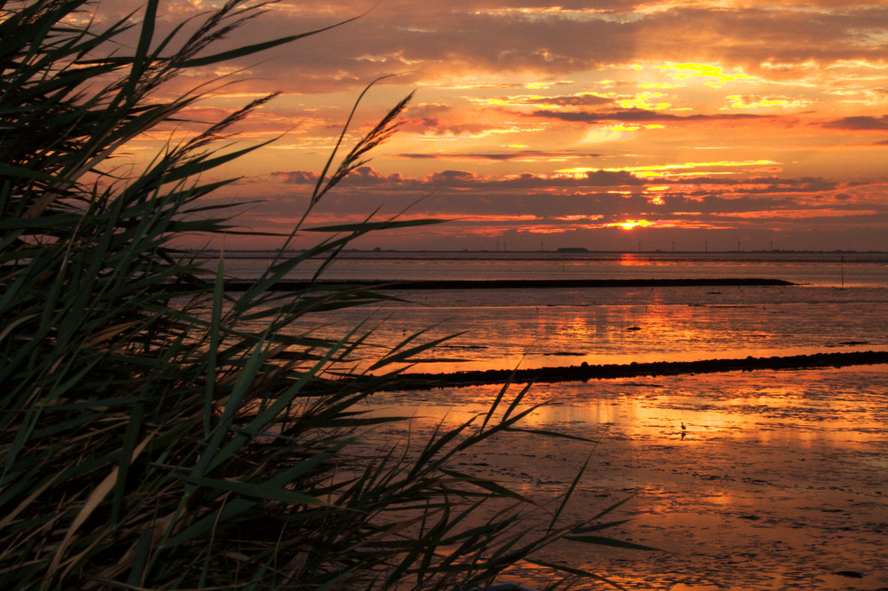 Sonnenuntergang auf Nordstrand