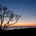 Sonnenuntergang auf Öland