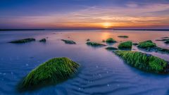 Sonnenuntergang auf Ostseeinsel Hiddensee