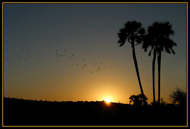 Sonnenuntergang auf Palmwag