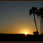Sonnenuntergang auf Palmwag