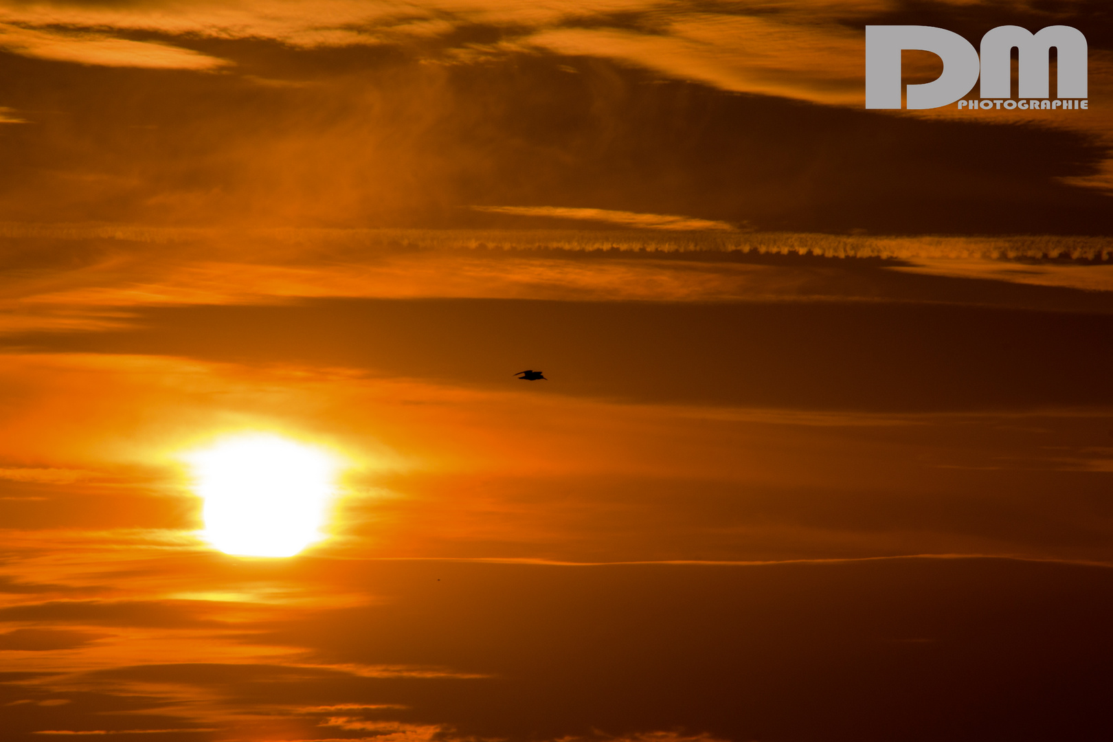 Sonnenuntergang auf Pellworm