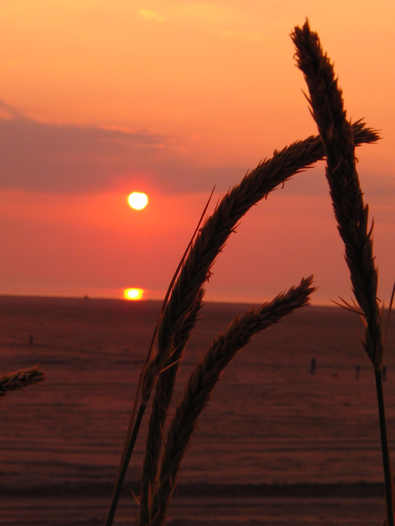 Sonnenuntergang auf Rømø