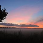 Sonnenuntergang auf Rømø