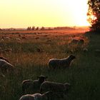 Sonnenuntergang auf Rügen