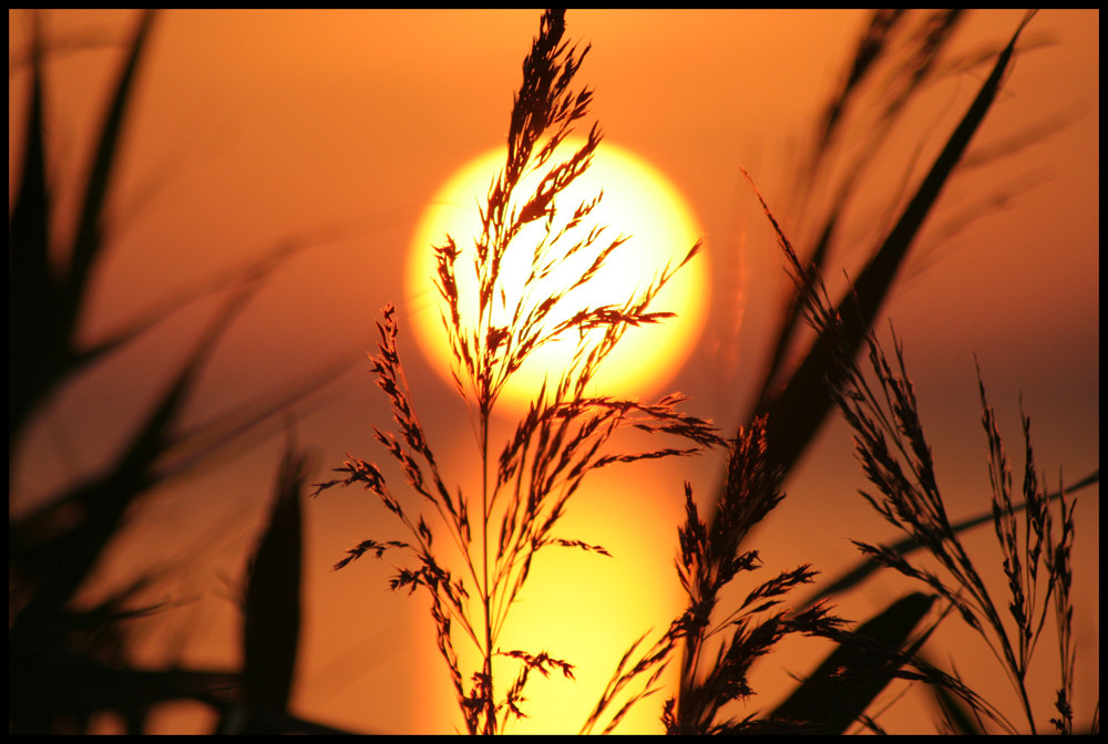 Sonnenuntergang auf Rügen 1