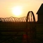 Sonnenuntergang auf Rügen