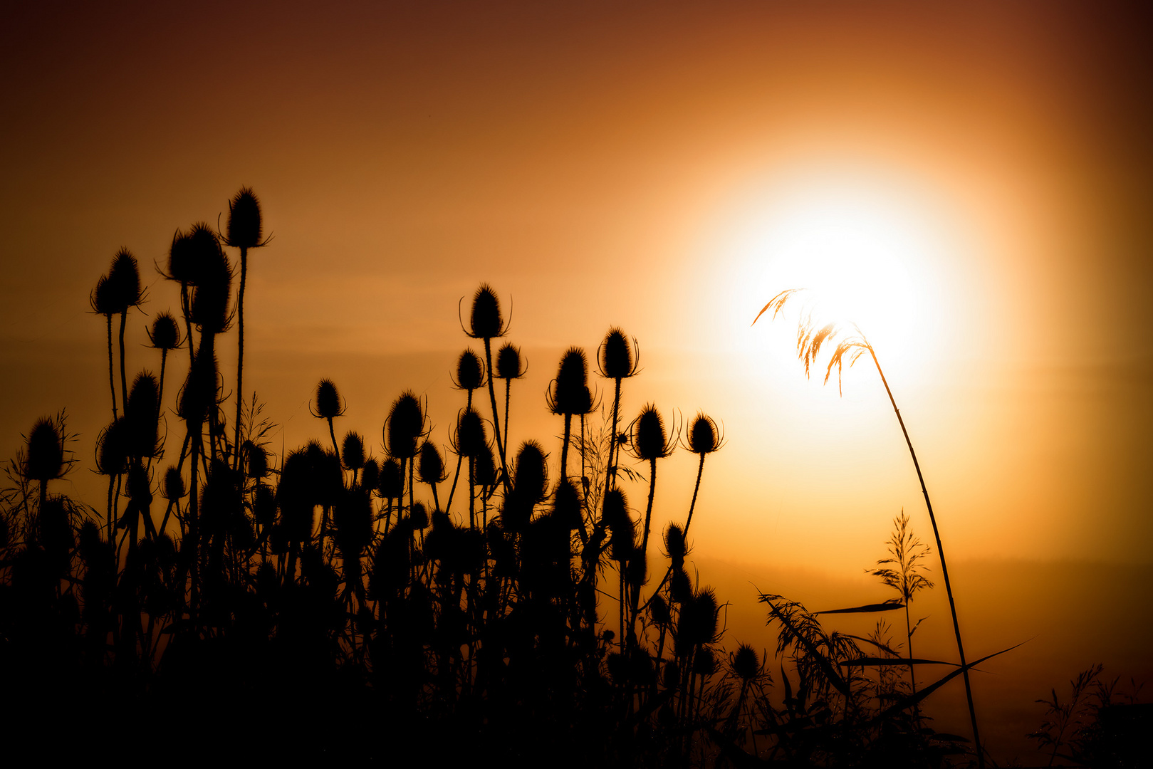 Sonnenuntergang auf Rügen