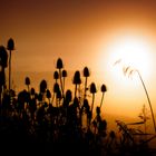 Sonnenuntergang auf Rügen