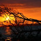 Sonnenuntergang auf Rügen