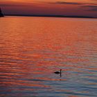 Sonnenuntergang auf Rügen