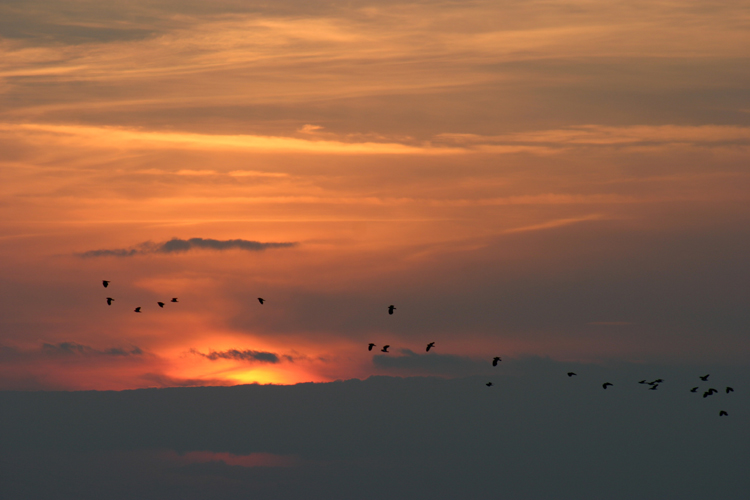 Sonnenuntergang auf Rügen, Vieregge