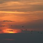 Sonnenuntergang auf Rügen, Vieregge