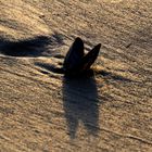 Sonnenuntergang auf Sand